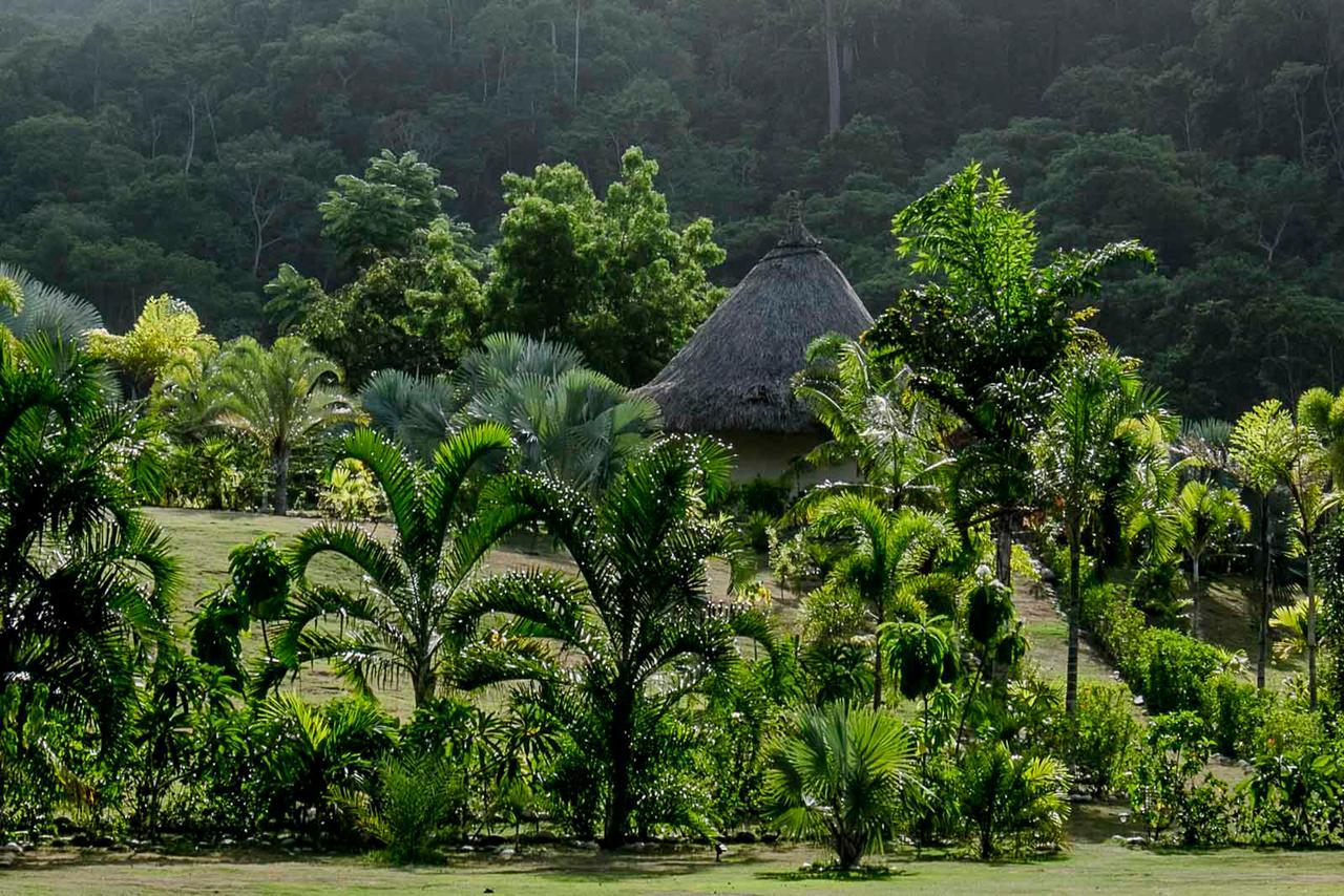 One Santuario Natural Palomino Ngoại thất bức ảnh